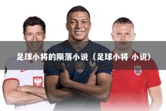 足球小将的陨落小说（足球小将 小说）