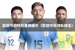 欧冠夺冠时刻集锦图片（欧冠夺冠球队排名）