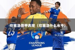 坎塞洛德甲表现（坎塞洛什么水平）