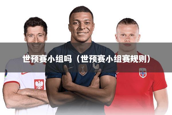 世预赛小组吗(世预赛小组赛规则)